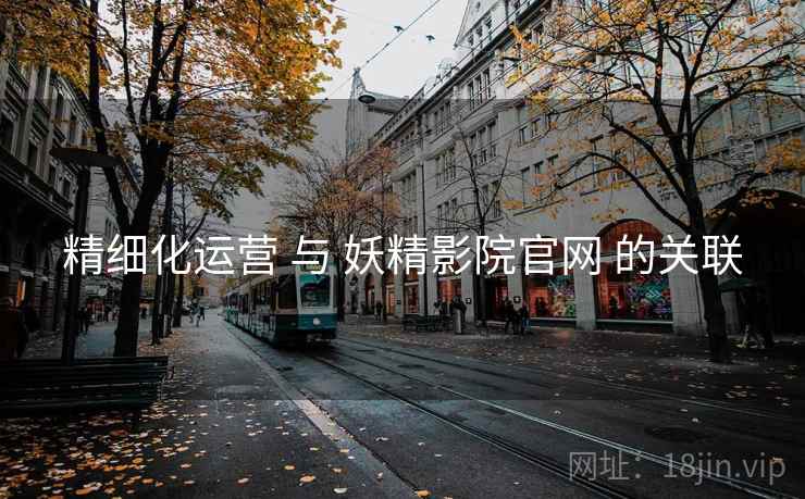 精细化运营 与 妖精影院官网 的关联
