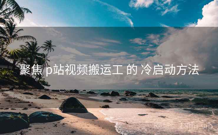 聚焦 p站视频搬运工 的 冷启动方法