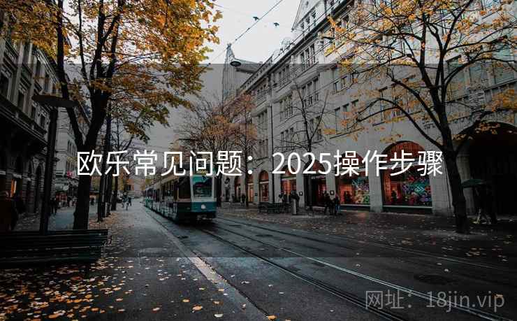 欧乐常见问题：2025操作步骤