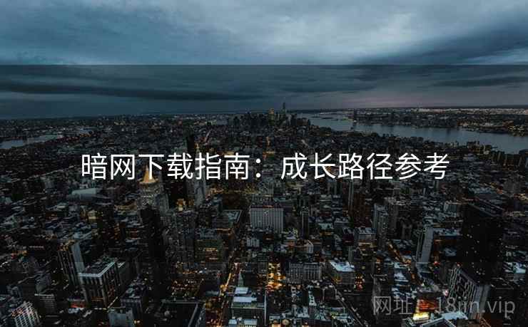 暗网下载指南：成长路径参考