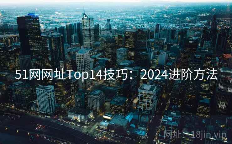 51网网址Top14技巧：2024进阶方法