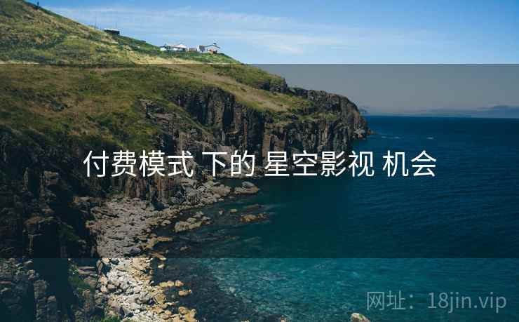 付费模式 下的 星空影视 机会