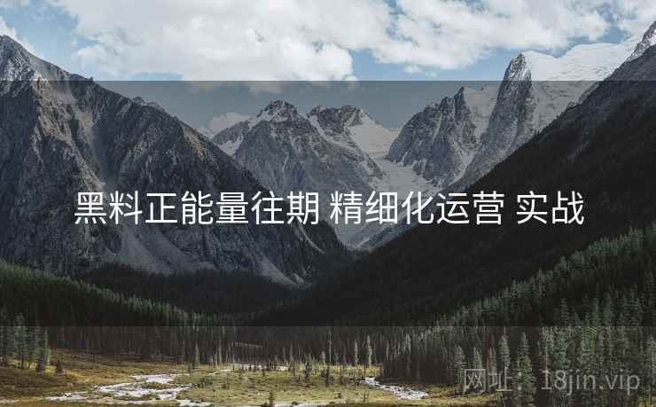 黑料正能量往期 精细化运营 实战