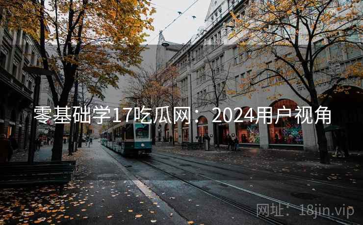 零基础学17吃瓜网：2024用户视角