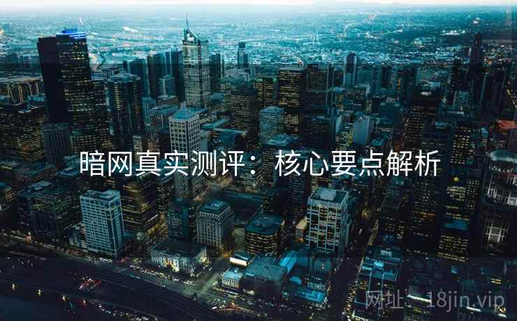 暗网真实测评：核心要点解析