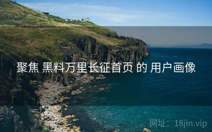 聚焦 黑料万里长征首页 的 用户画像