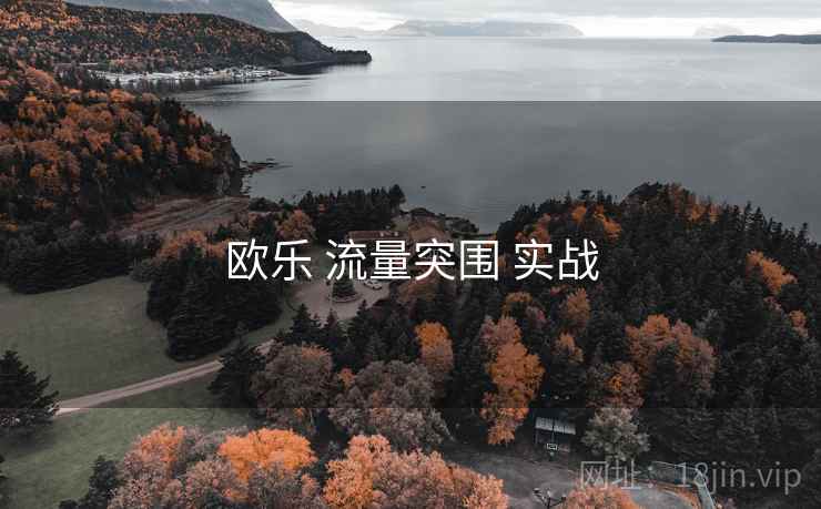 欧乐 流量突围 实战