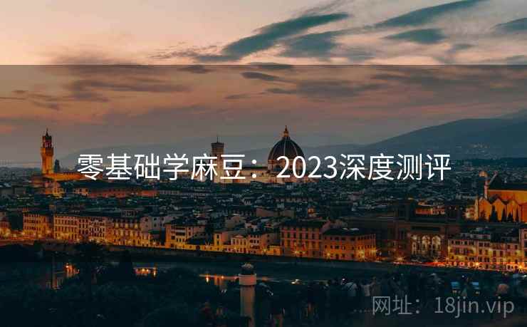 零基础学麻豆：2023深度测评