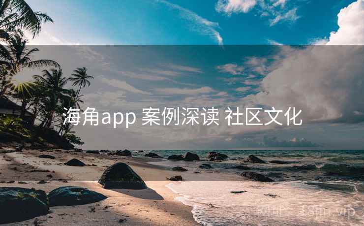 海角app 案例深读 社区文化
